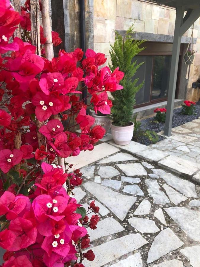 Paradise Apartments Nefeli Καλαμάτα Εξωτερικό φωτογραφία